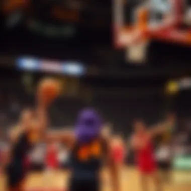 Historical performance of the Suns in the NBA